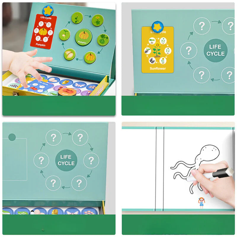 Lifecycle – Learn More About Life Cycles in a Fun Way! – Puzzle Box