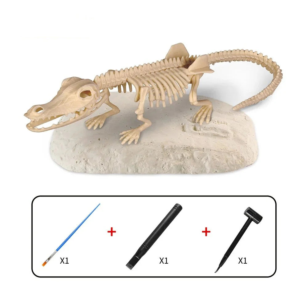 Dino Dig - Dig Up the Fossil - Excavation Set