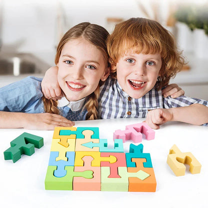 Shape Master Puzzle