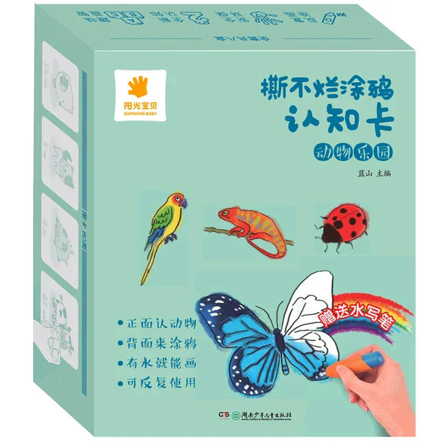 Watercolor Learning Cards