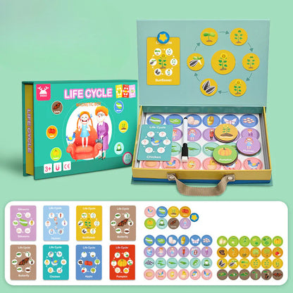 Lifecycle – Learn More About Life Cycles in a Fun Way! – Puzzle Box