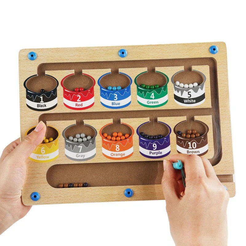 Magnetic Maze Learning Board