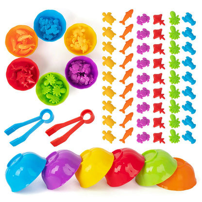 Sorting Animal - Montessori Game Set