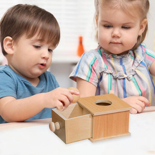 Woods Montessori Coin Game – Promote Fine Motor Skills and Precision