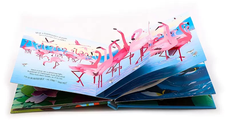 Interactive Pop-Up Adventure Book